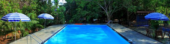 swimming pool_the village resort kerala
